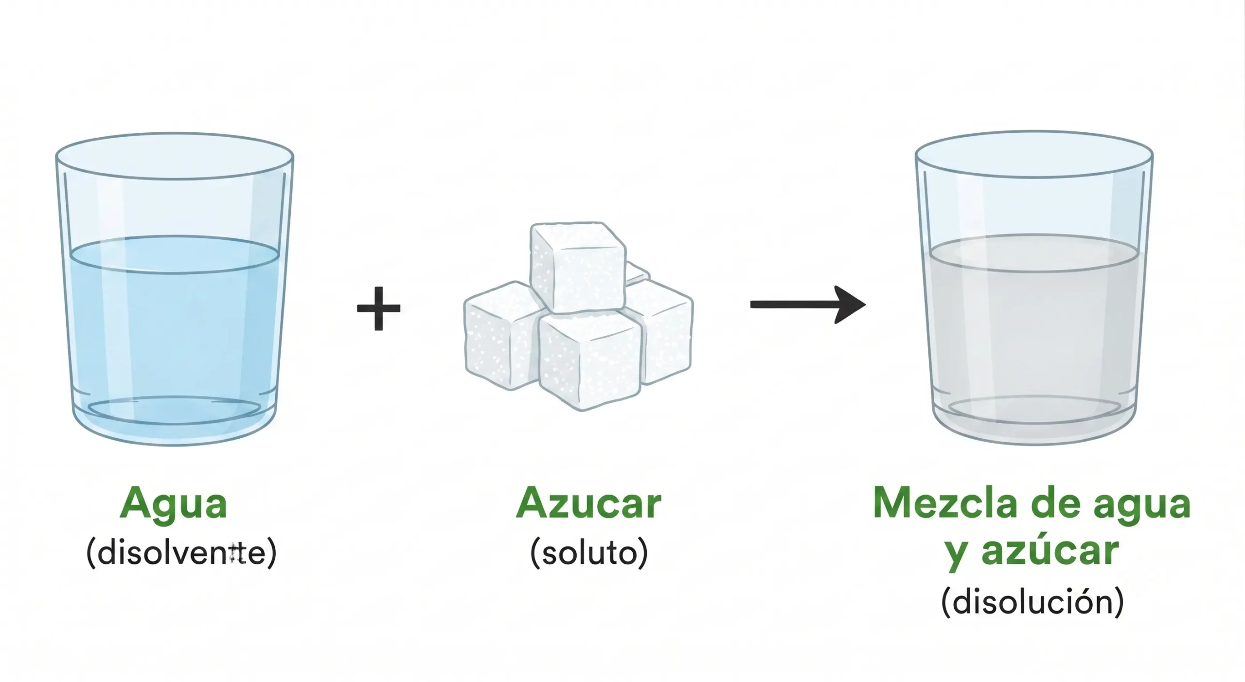Ejemplo de un disolvente químico: el agua disuelve azúcar (soluto) para formar una disolución homogénea.